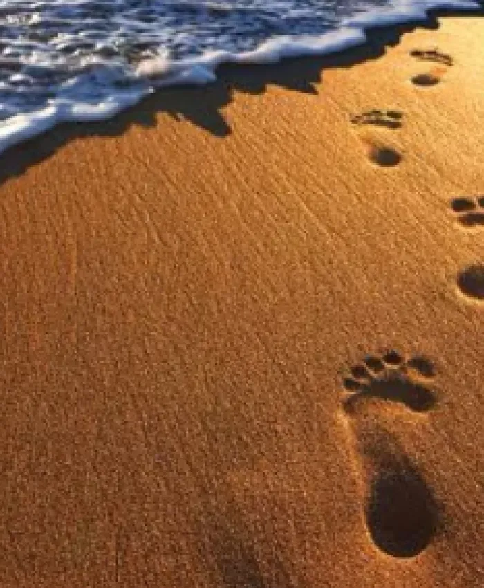 Hayatta İz Bırakan Kadın Olabilmek 